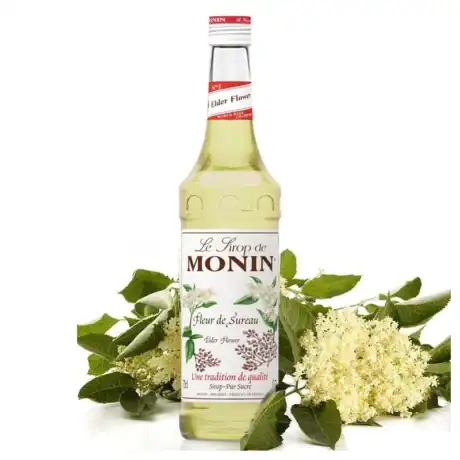 MONIN 0.7L - SOC