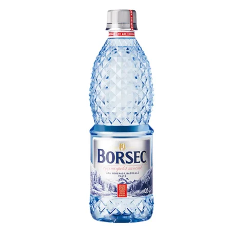 BORSEC plata 0.5L SGR (1x12)